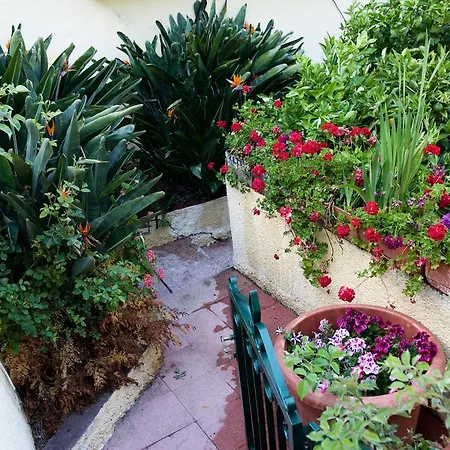 Kır Evi De Tio Felix *