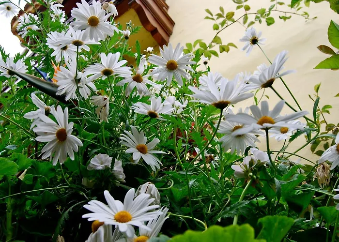 منزل ريفي De Tio Felix فيغا دي سان ماتيو